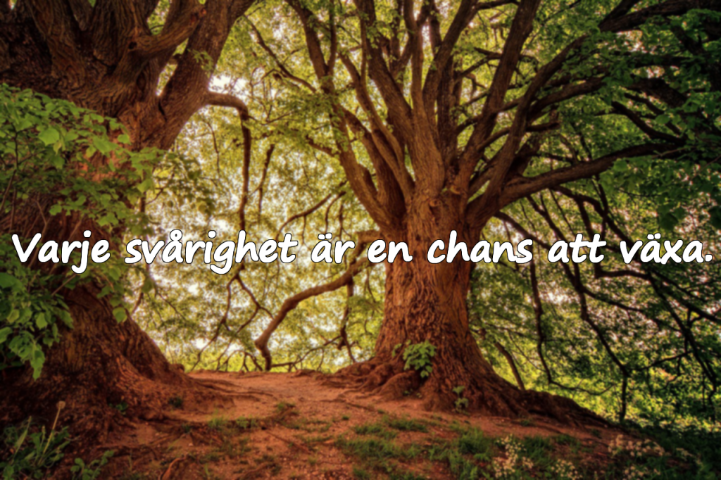 Svårigheter – Djupa och positiva citat om livets utmaningar