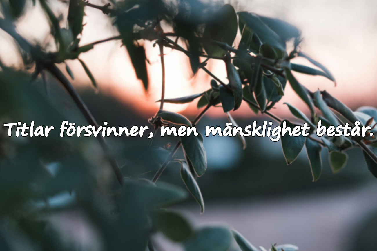 Syftande citat om den förgängliga världen