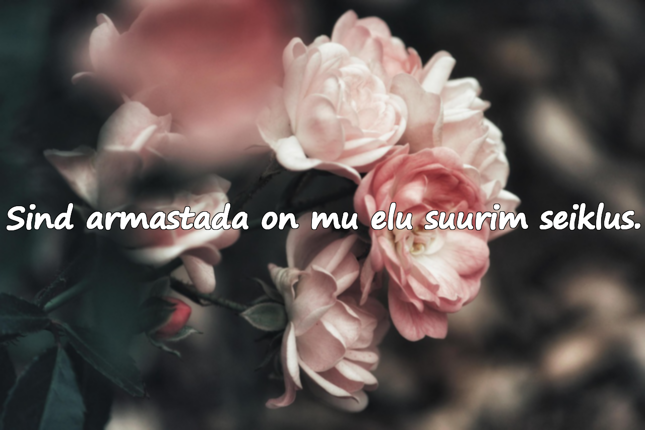 Tähenduslikud armastussõnad