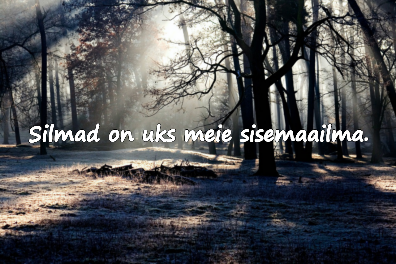 Tähenduslikud ja ilusad silmade kohta tsitaadid