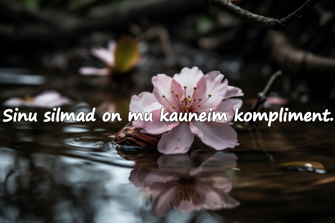 Tähenduslikud ja komplimente täis tsitaadid silmside kohta