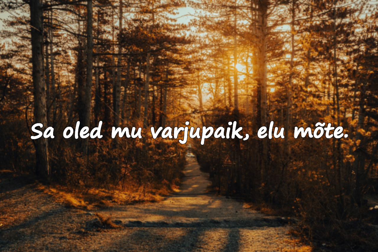 Tähendusrikkad ilusad sõnad minu naisele