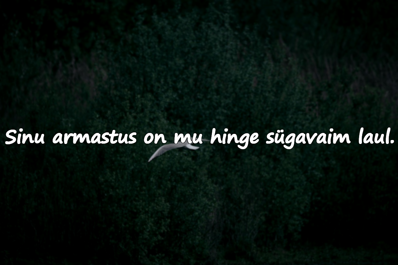 Tähendusrikkad ilusad sõnad minu naisele