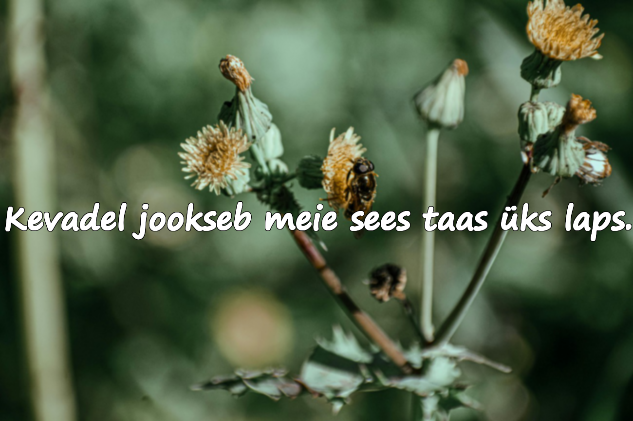 Tähendusrikkad kevadtsitaadid