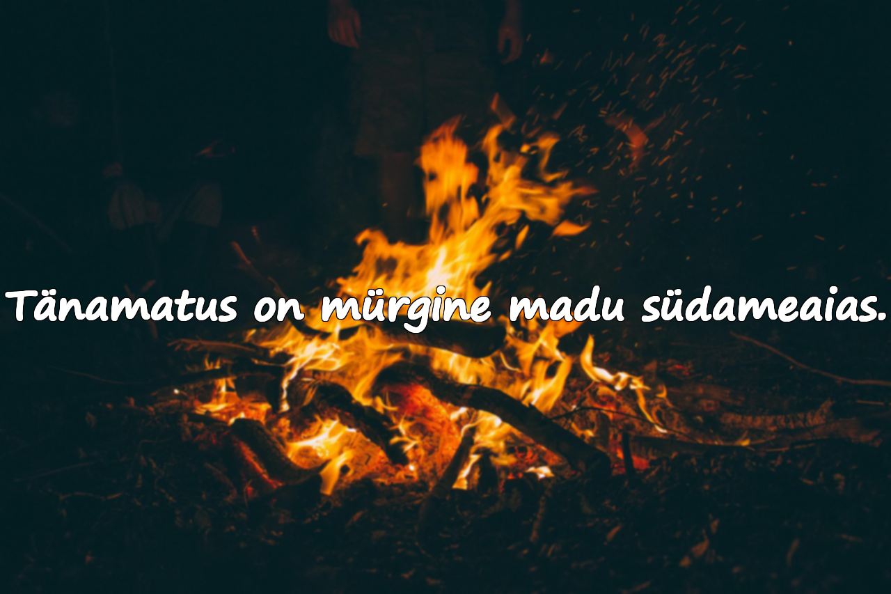 Tänamatusest kõnelevad laused