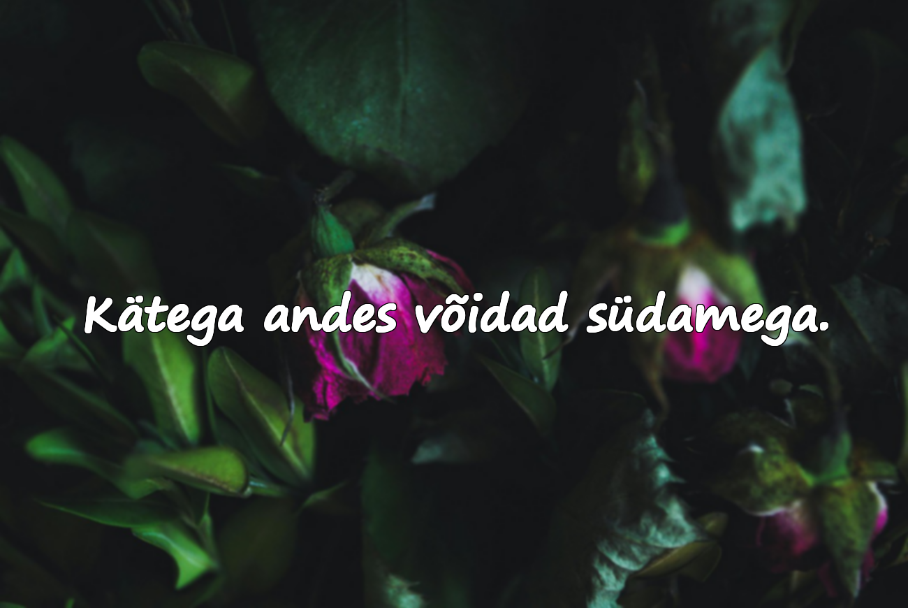 Töö ja visaduse tsitaadid