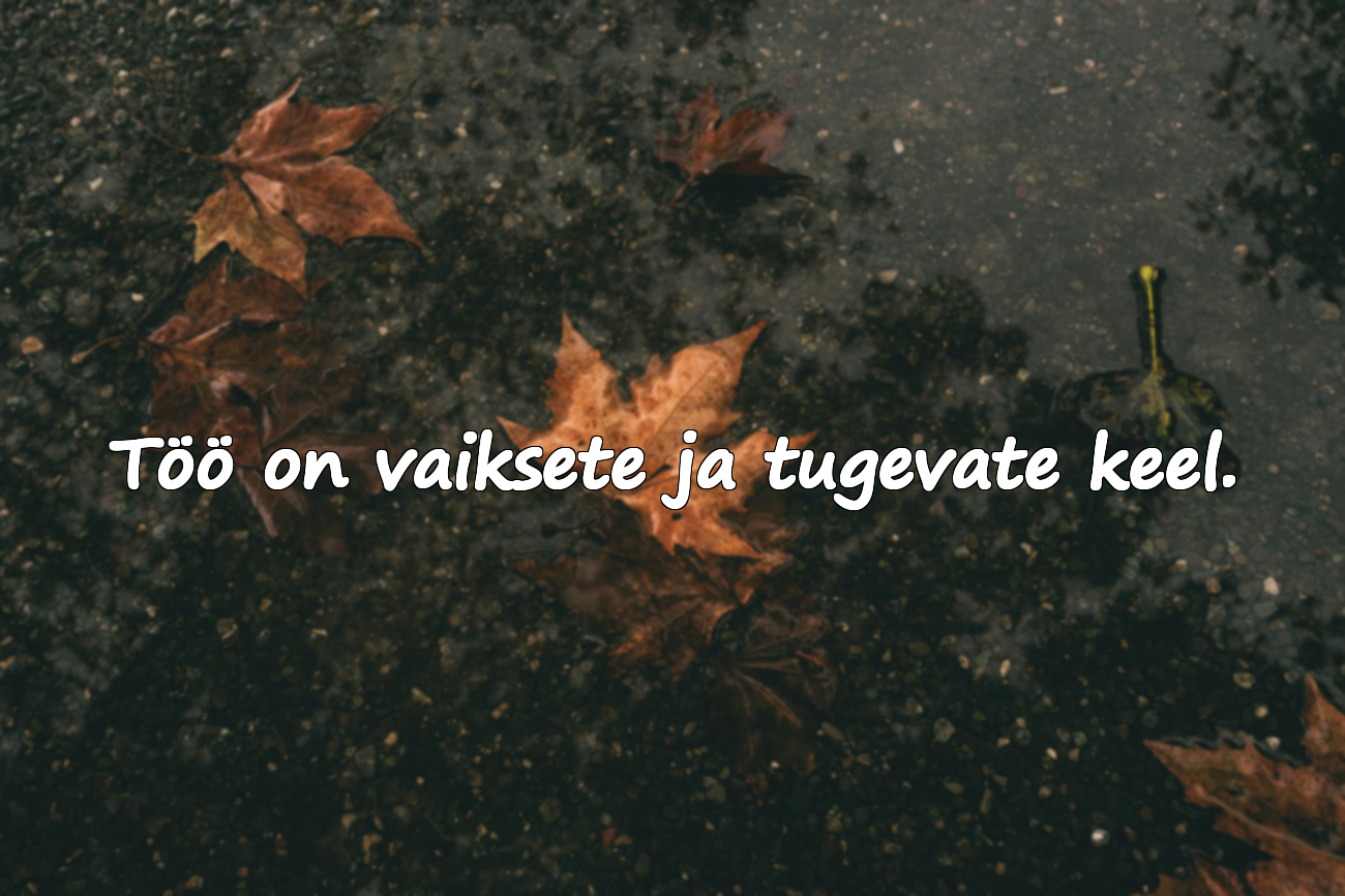 Töö ja visaduse tsitaadid