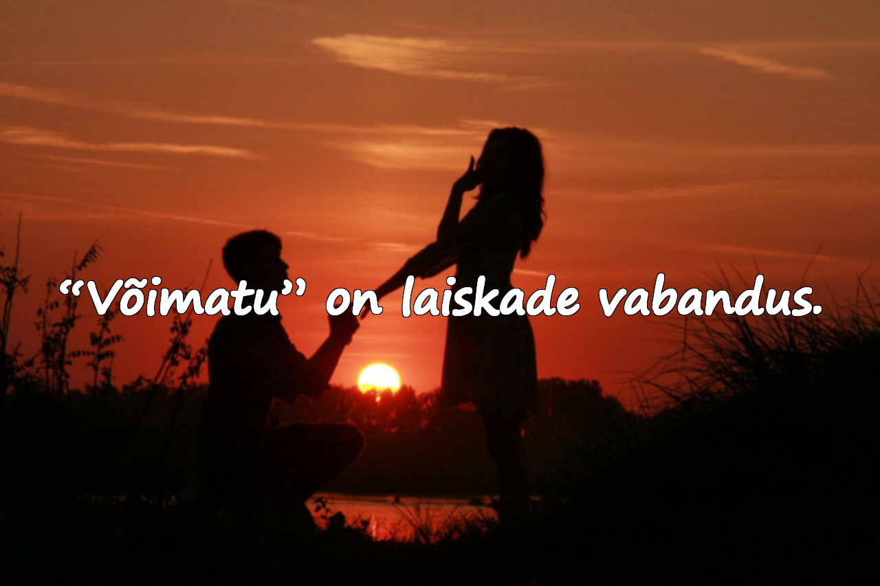 Töö ja visaduse tsitaadid