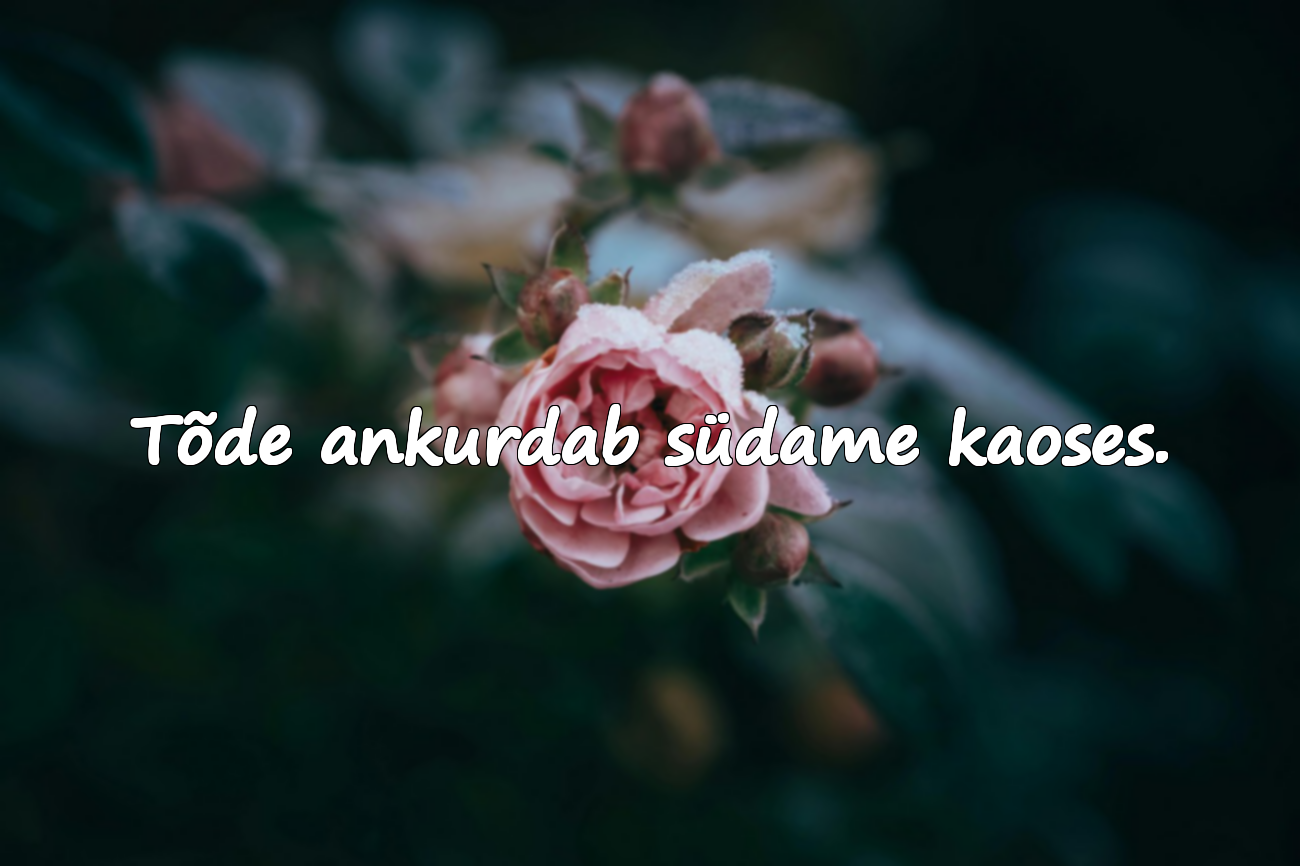 Tõde ankurdab südame kaoses.