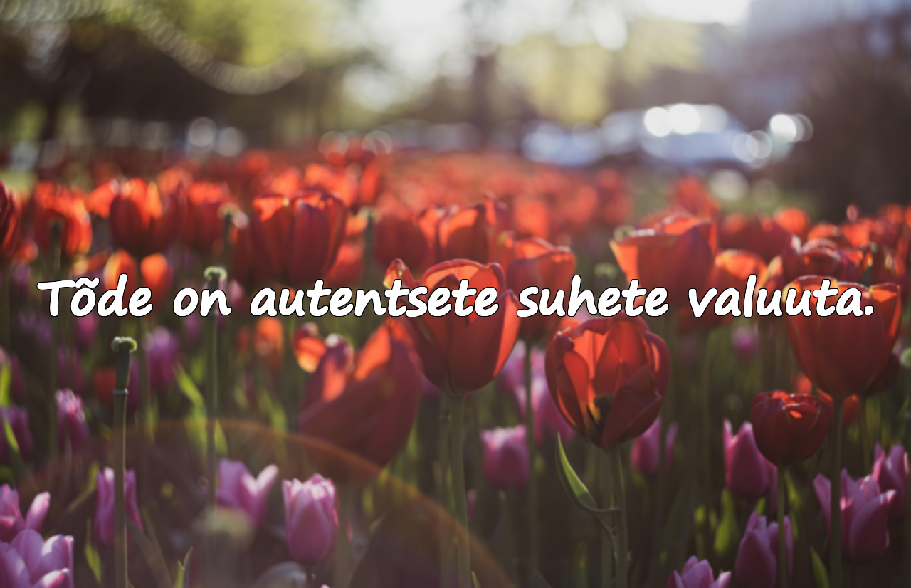 Tõe kohta tsitaadid