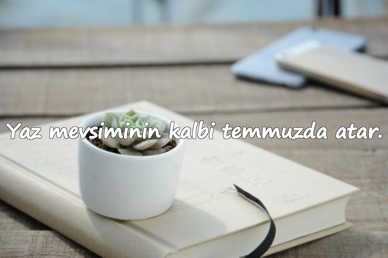 Yaz mevsiminin kalbi temmuzda atar.