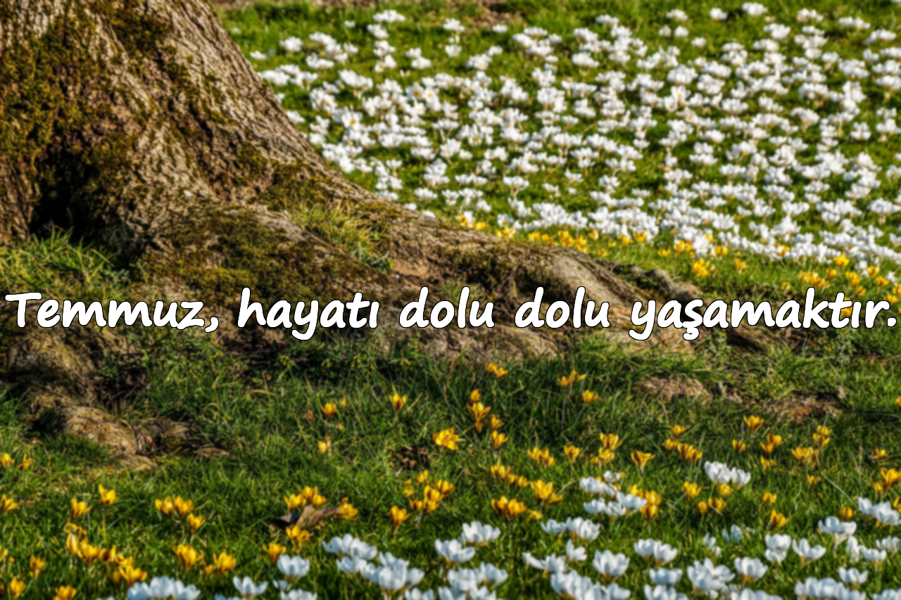 Temmuz, hayatı dolu dolu yaşamaktır.