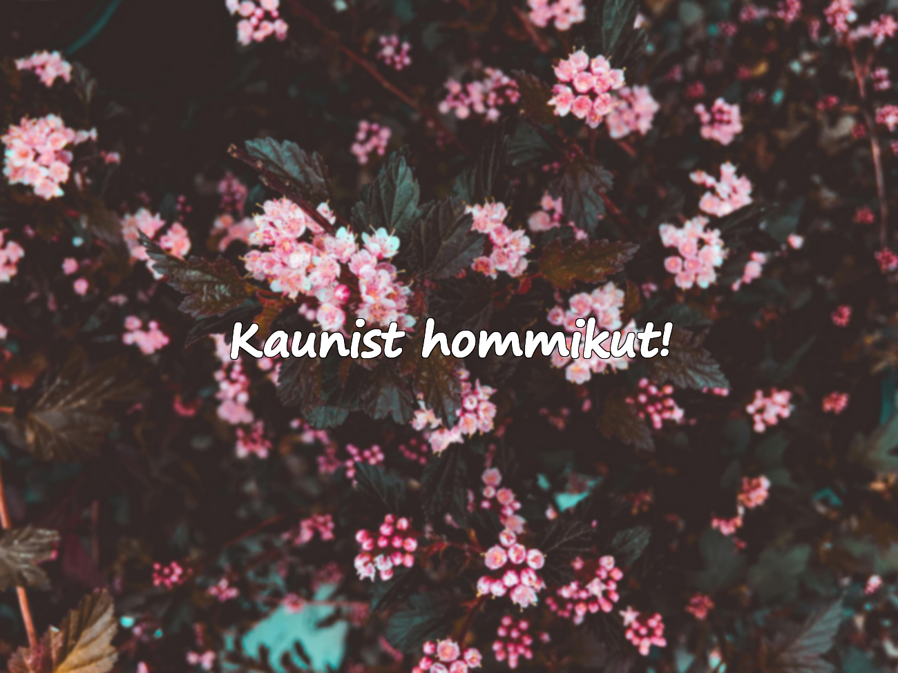 Tere hommikust sõnumid