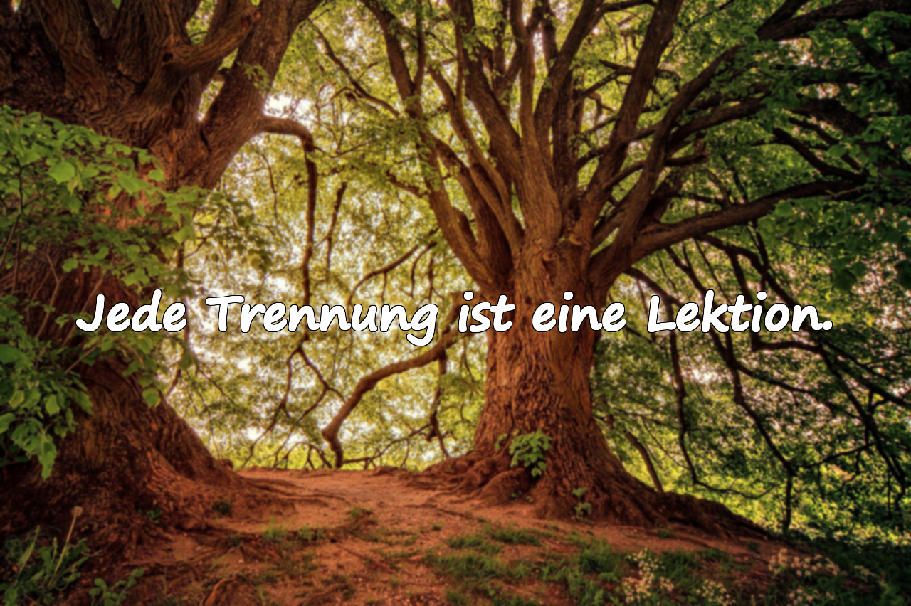 Trennungssprüche