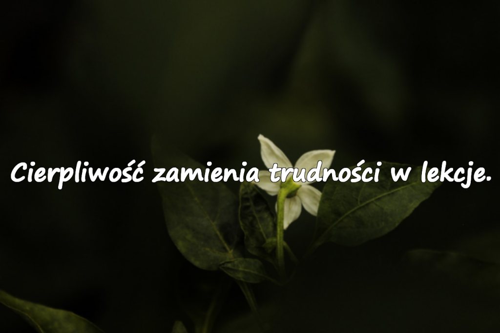 Trudności – Głębokie i pozytywne cytaty o wyzwaniach życiowych
