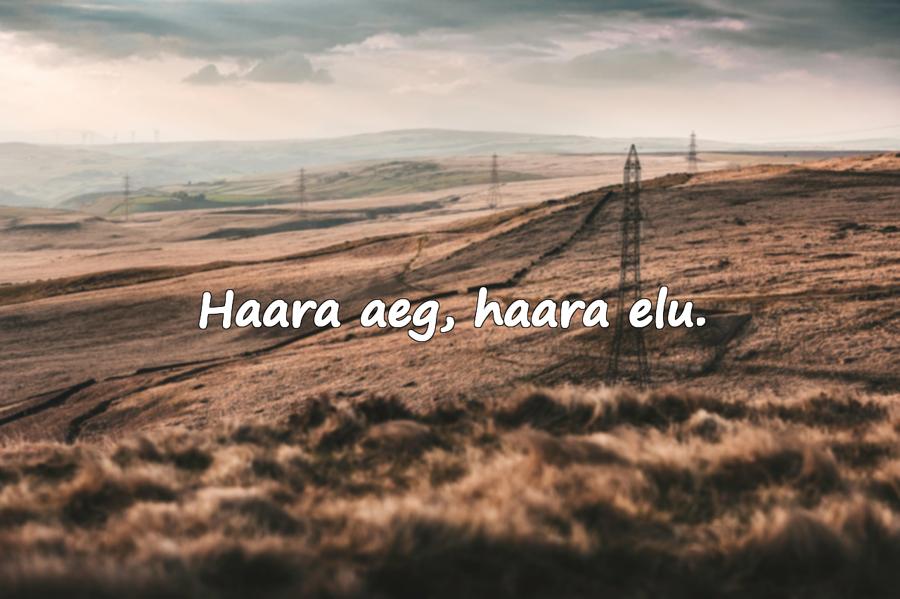 Tsitaadid Ajast