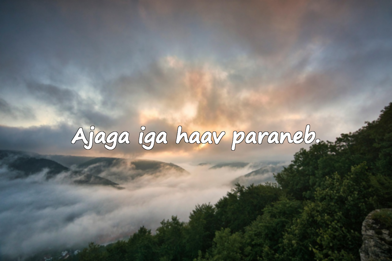 Tsitaadid Ajast