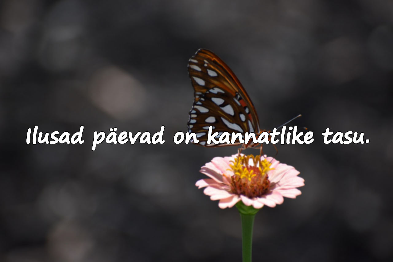 Ilusad päevad on kannatlike tasu.
