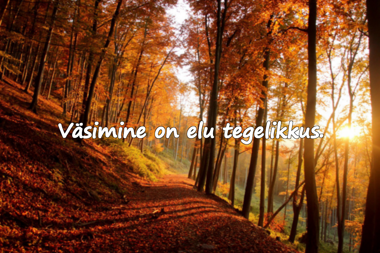 Tsitaadid Väsimuse Kohta