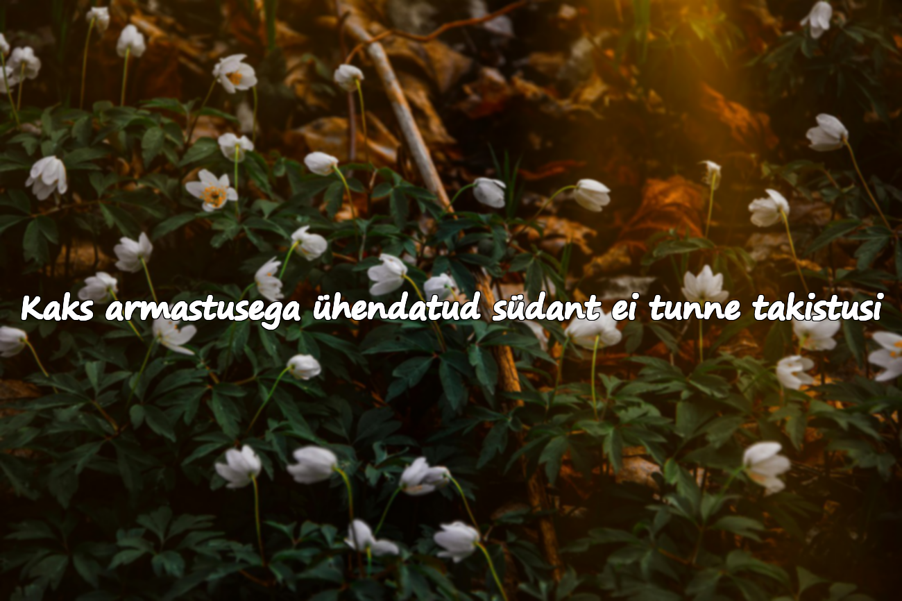 Tsitaadid Ühendumisest