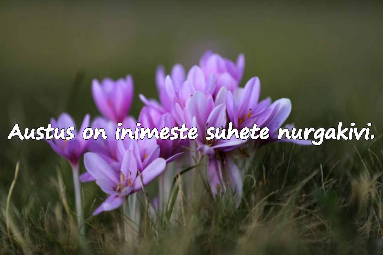 Tsitaadid austusest