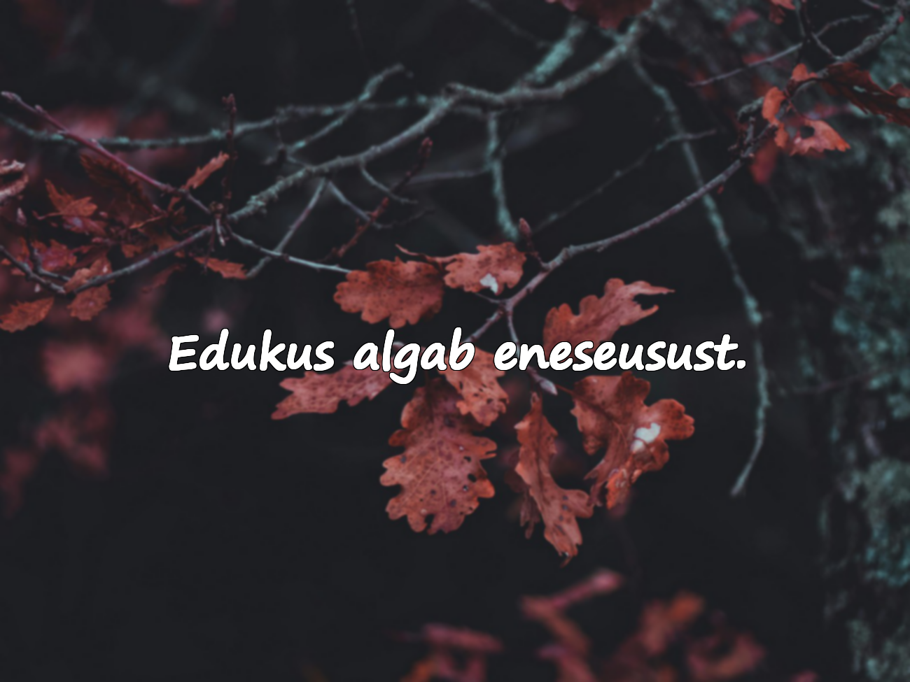 Tsitaadid edukusest