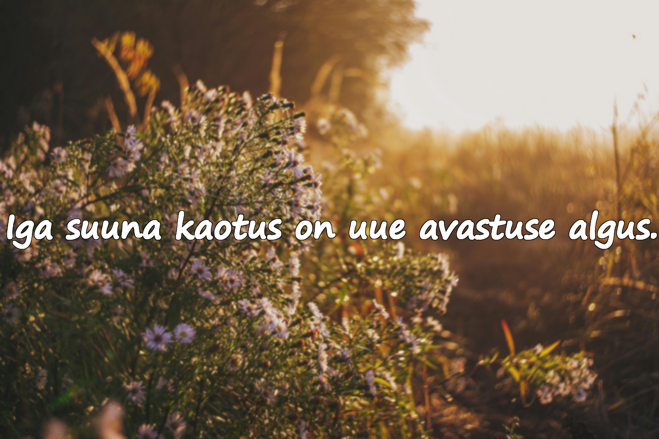 Tsitaadid eksimisest