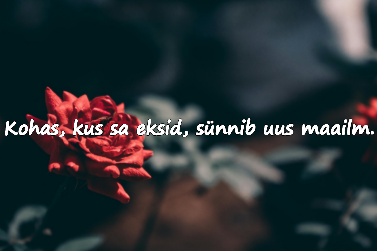 Tsitaadid eksimisest