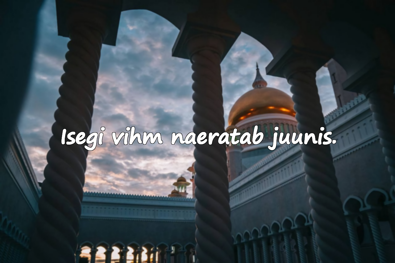 Tsitaadid juunikuu kohta