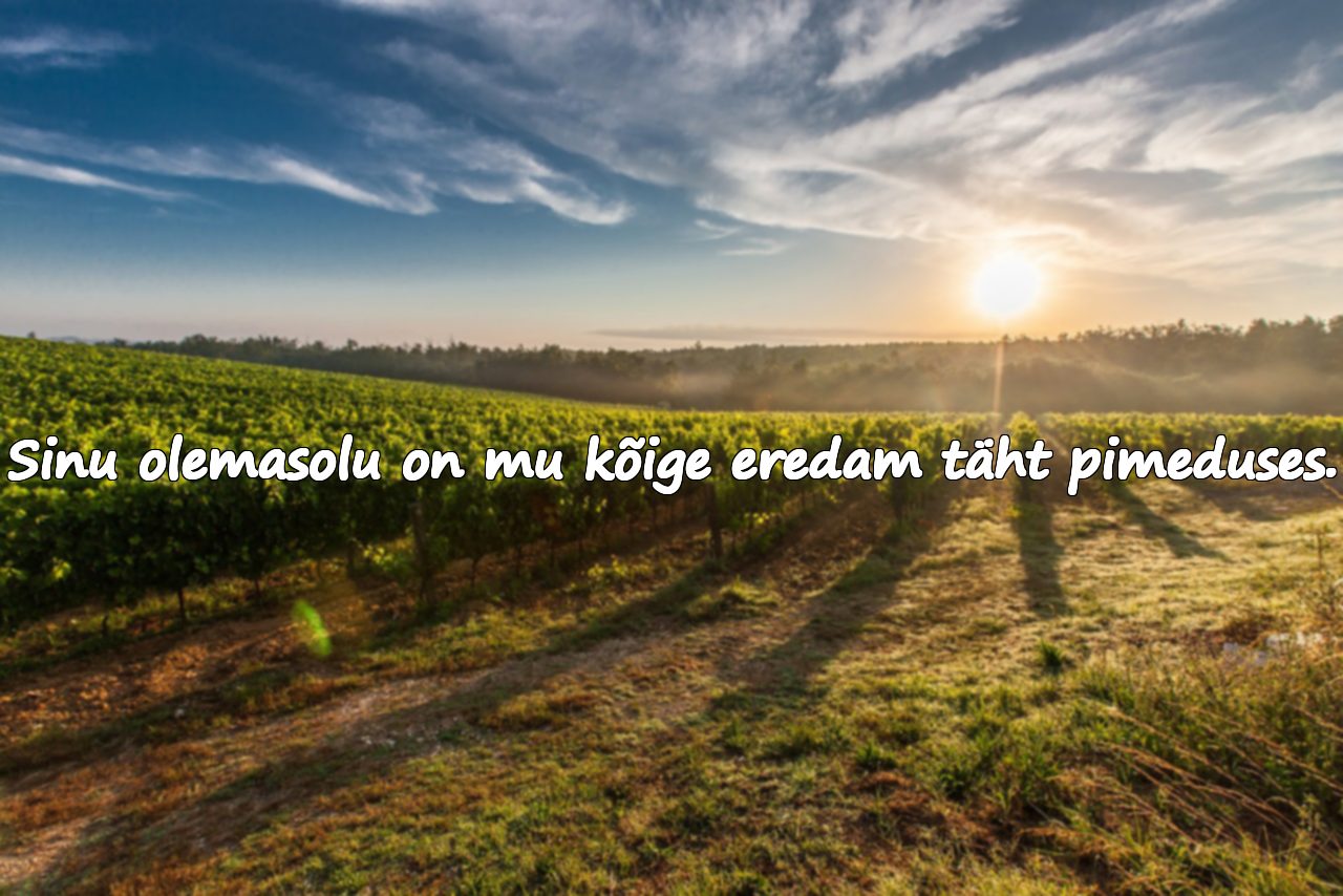 Tsitaadid kallimale