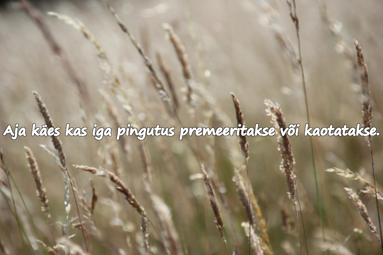 Tsitaadid kaotamise kohta