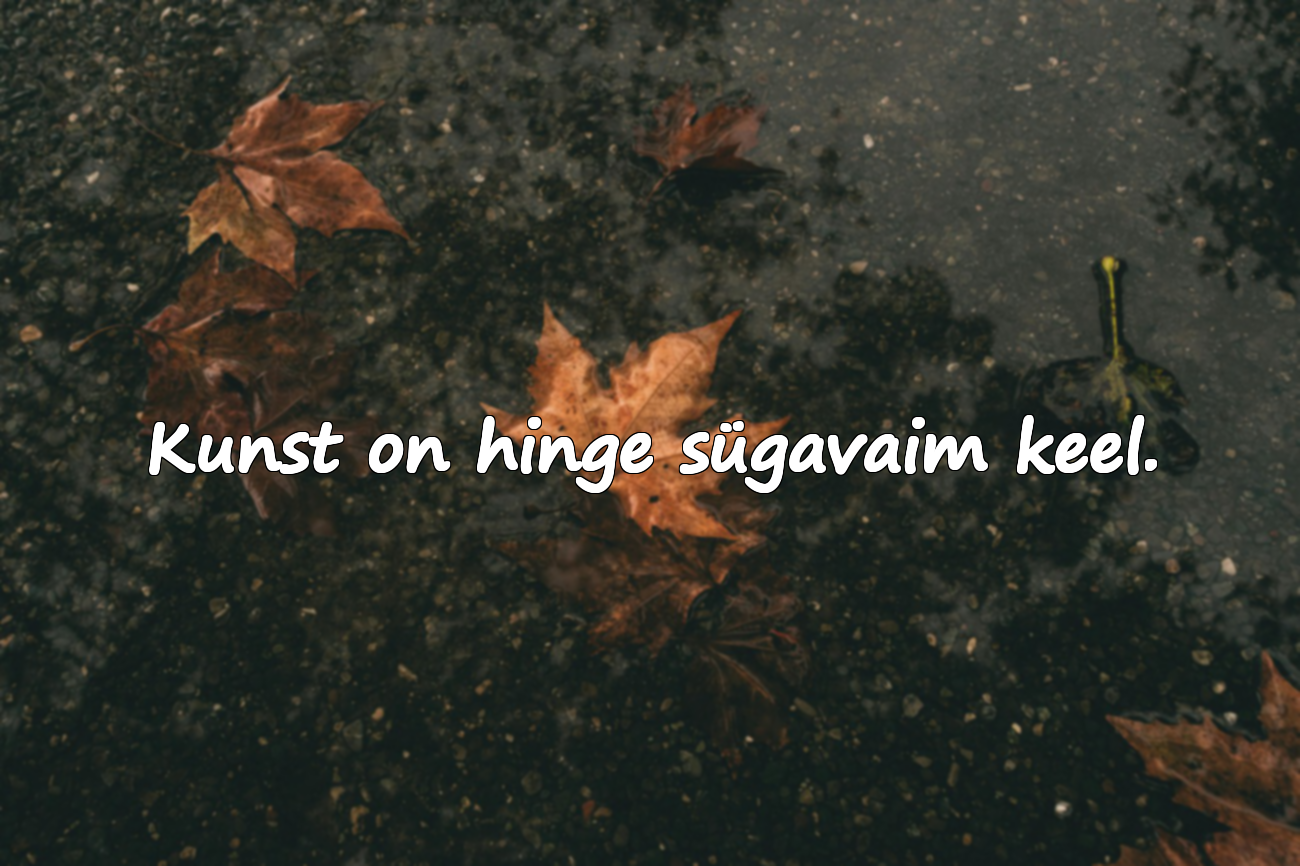 Tsitaadid kunsti kohta