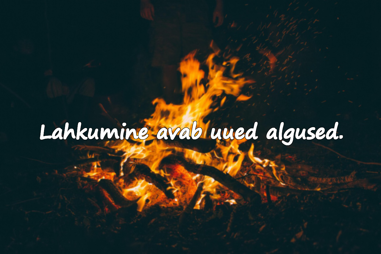 Tsitaadid lahkumise kohta