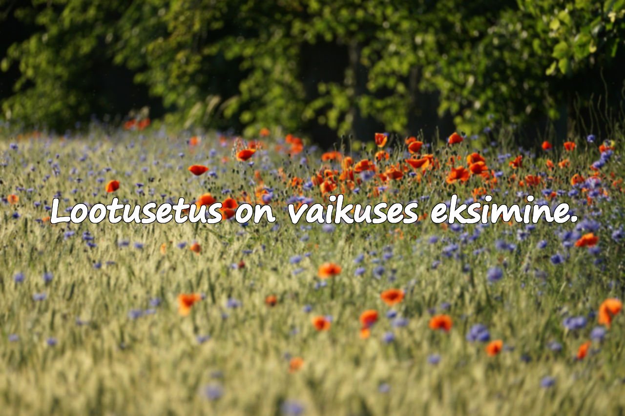 Tsitaadid lootusetusest