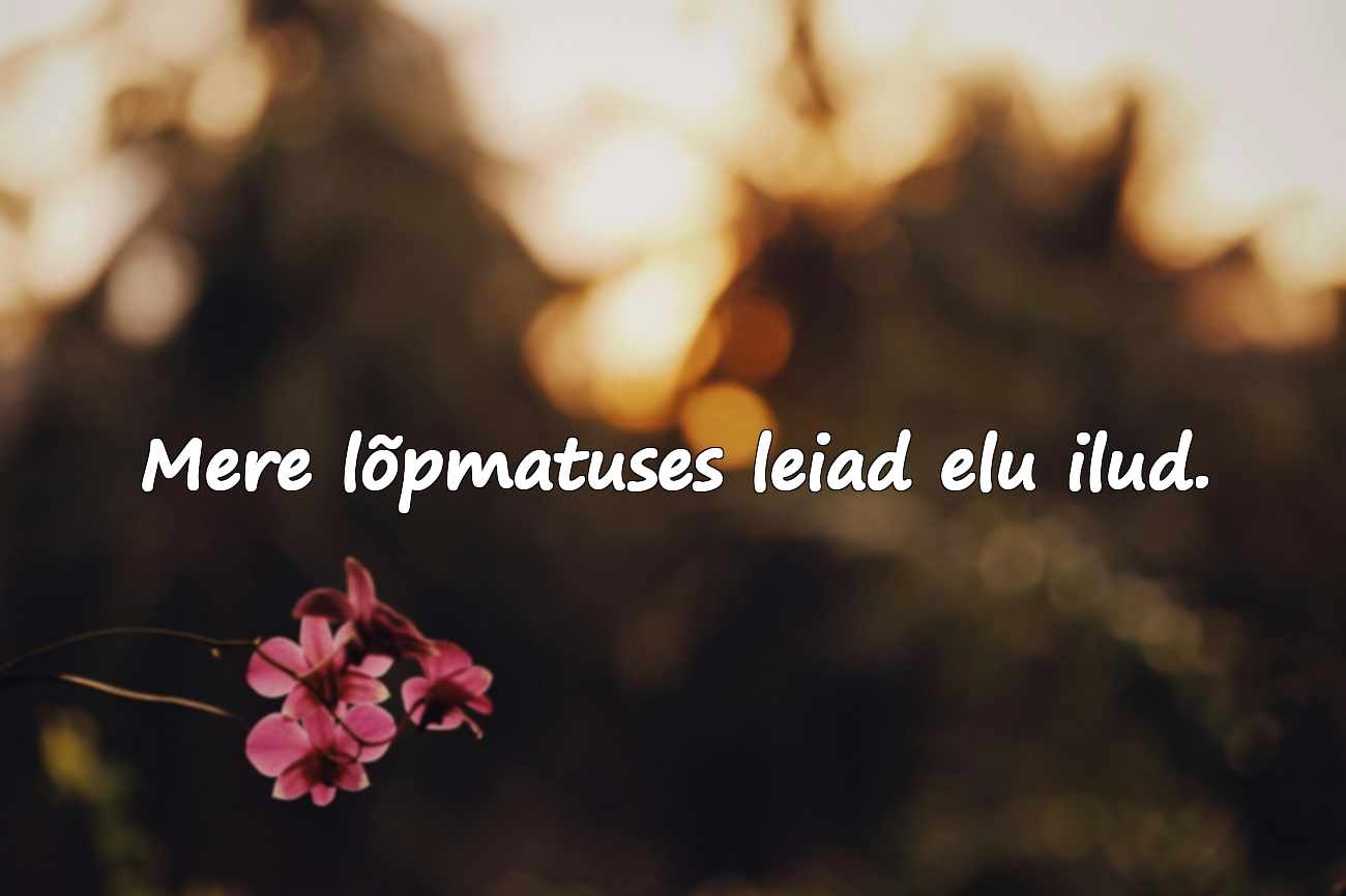 Mere lõpmatuses leiad elu ilud.
