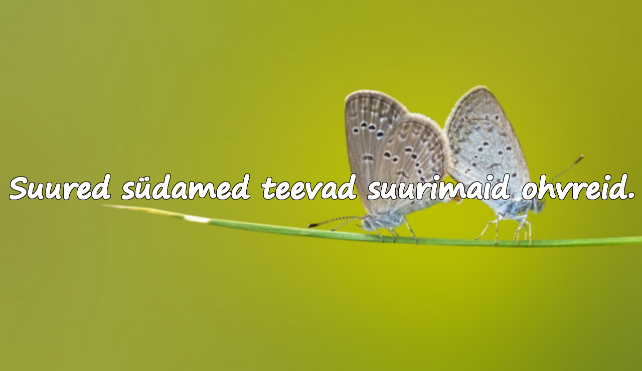 Tsitaadid ohverdusest