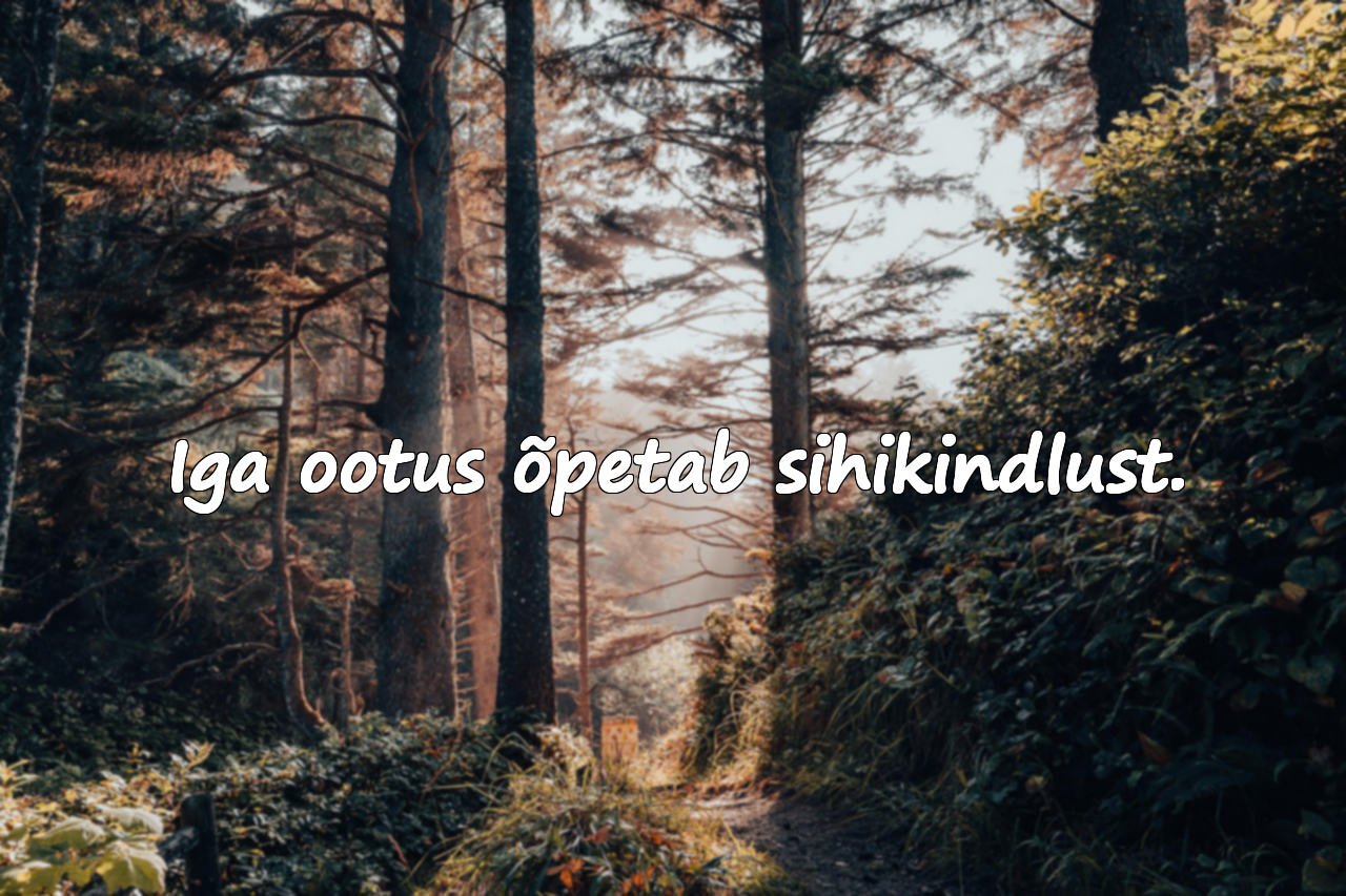 Iga ootus õpetab sihikindlust.