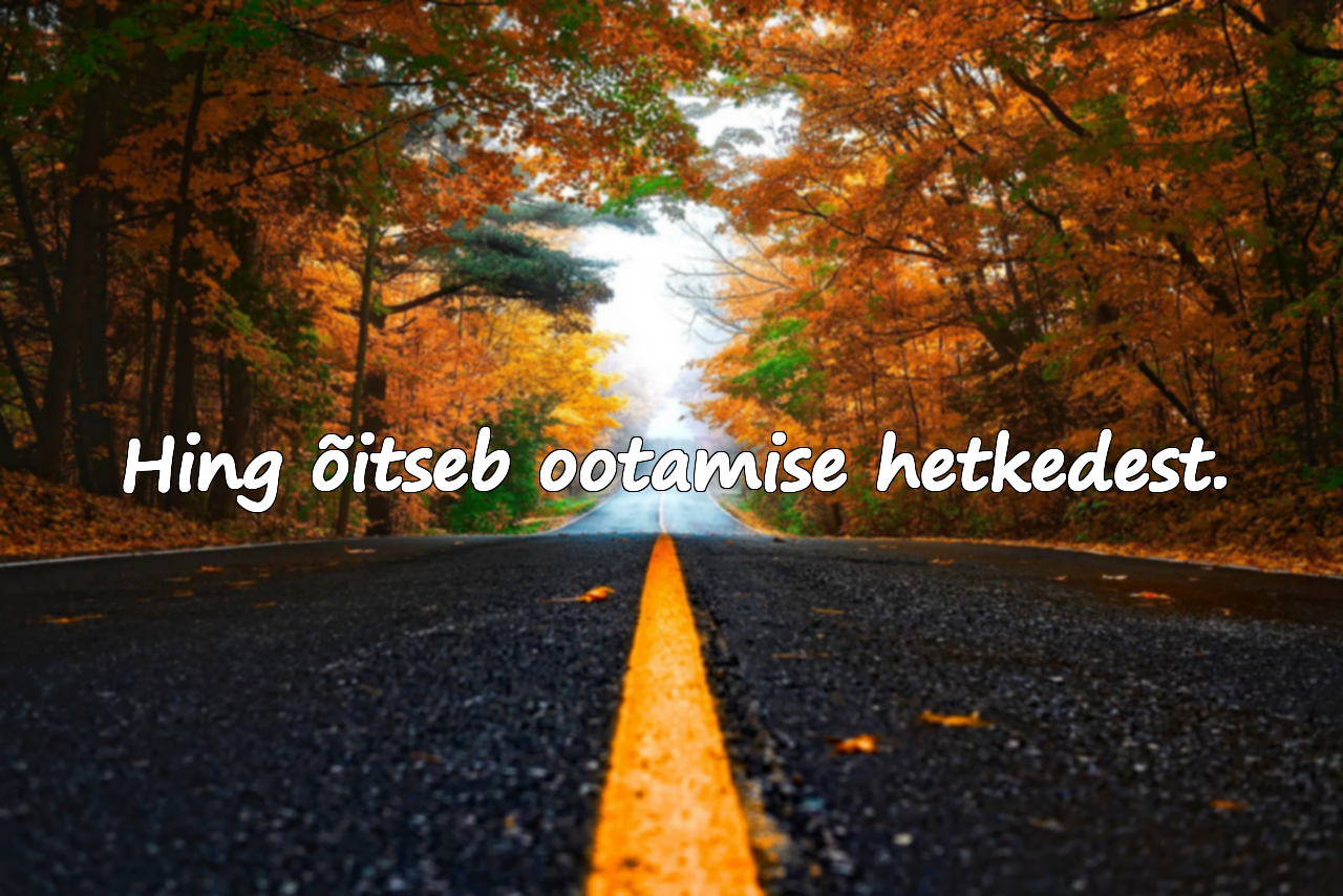 Tsitaadid ootamisest