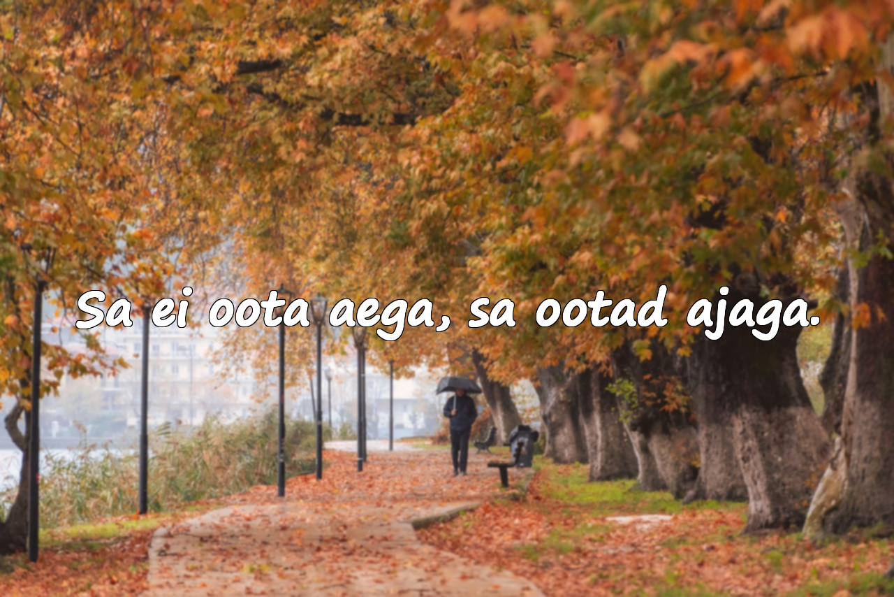 Tsitaadid ootamisest