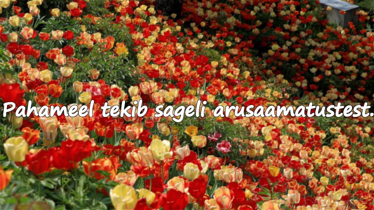 Tsitaadid pahameelest