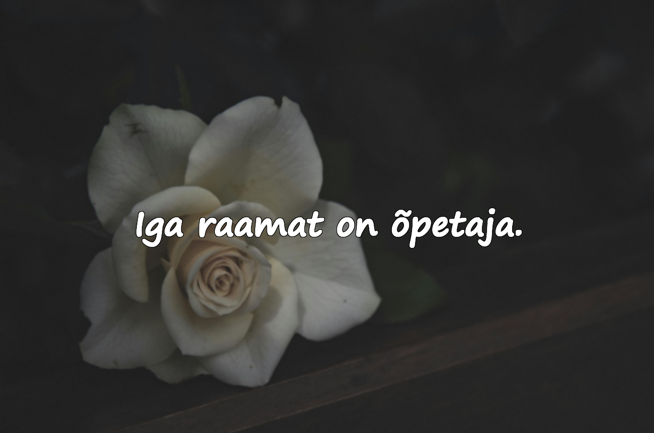 Tsitaadid raamatute lugemisest