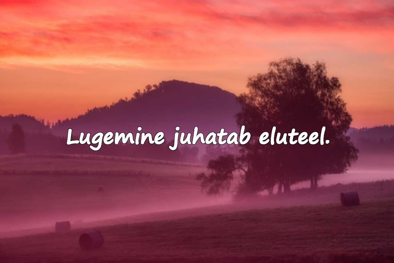 Tsitaadid raamatute lugemisest