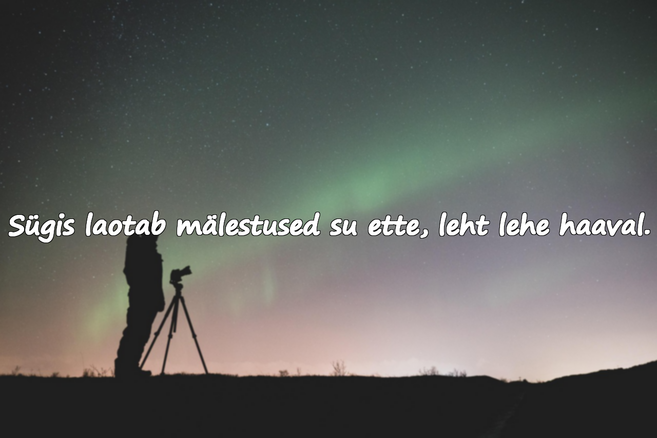 Tsitaadid sügisest