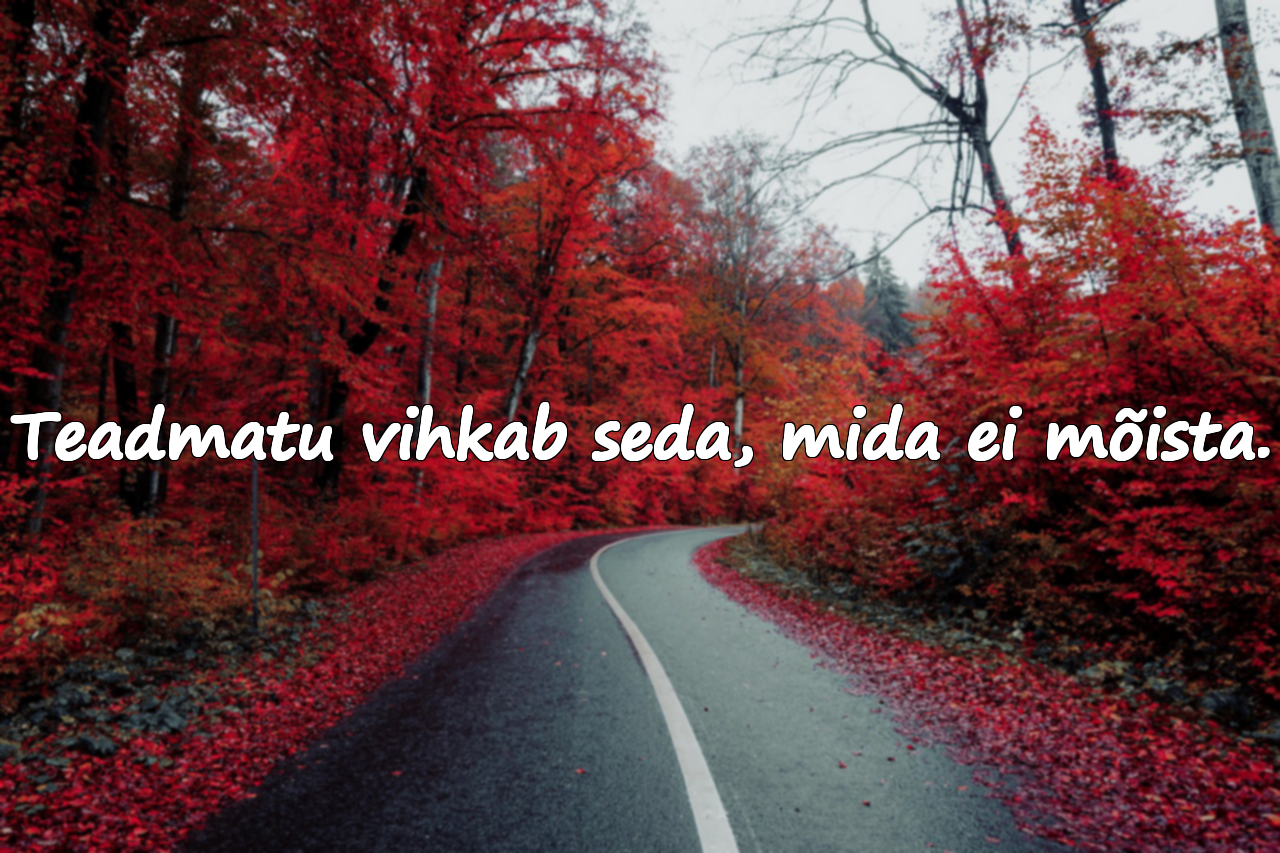 Tsitaadid teadmatuse kohta
