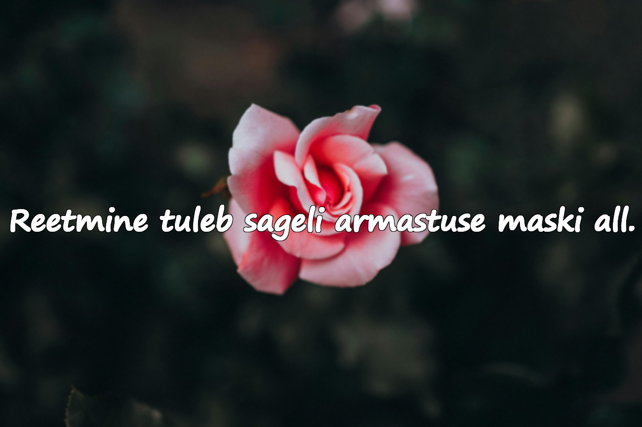 Tsitaadid truudusetuse kohta