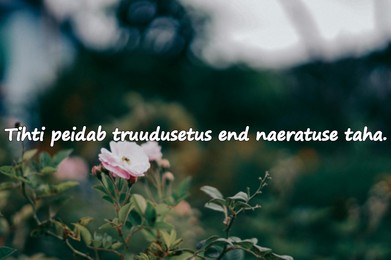 Tsitaadid truudusetuse kohta