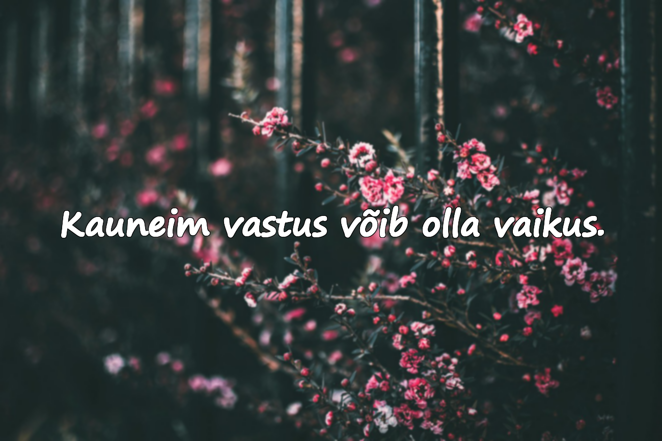 Tsitaadid vaikimise kohta