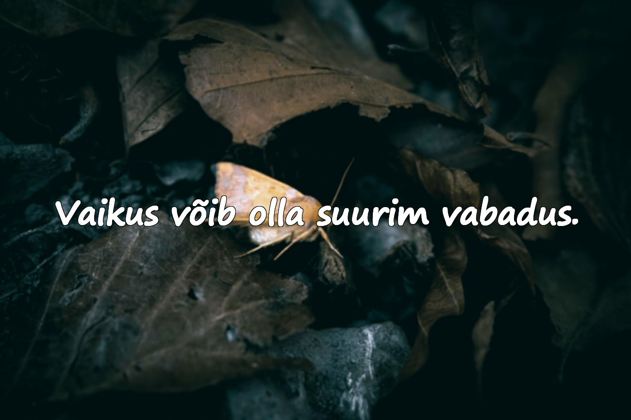 Tsitaadid vaikimise kohta