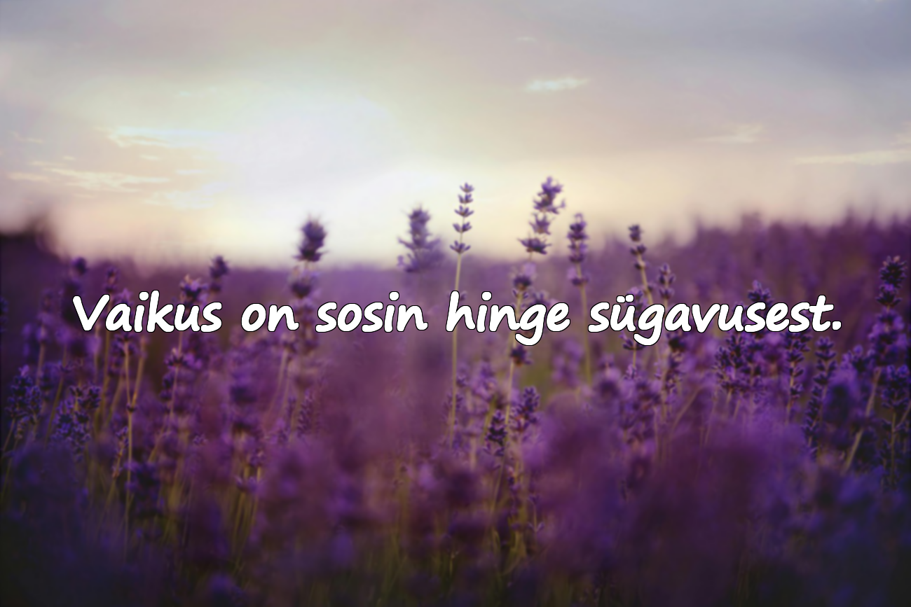 Tsitaadid vaikimise kohta