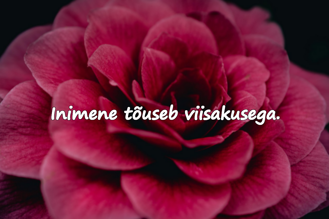 Tsitaadid viisakuse ja kõlbluse kohta